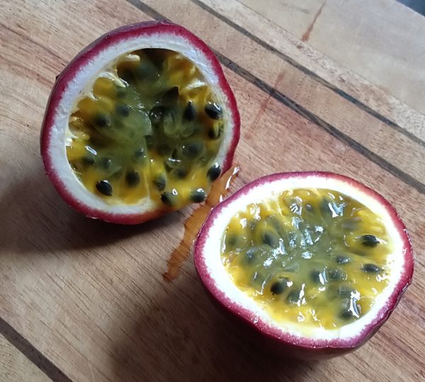Passiflora Edulis - Red Rover - Edible Purple Passion Fruit Plant - Image 11